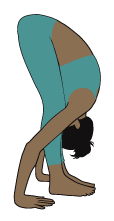Standing Forward Fold